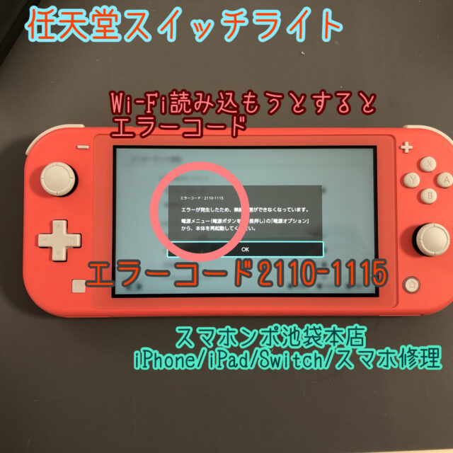 Nintendo Switch NINTENDO SWITCH LITE コー